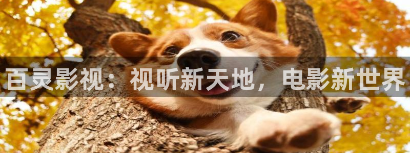 九七影院九七电影网：百灵影视：视听新天地，电影新世界