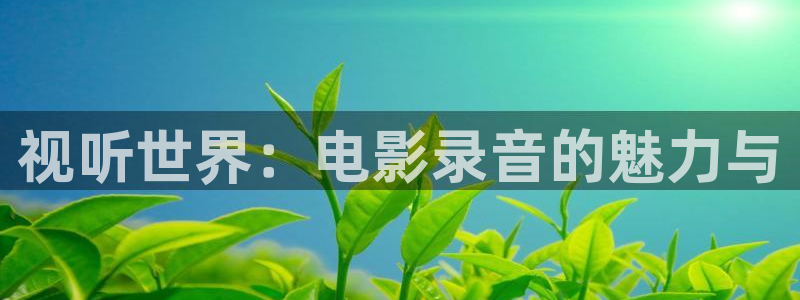 韩国九七电影院：视听世界：电影录音的魅力与