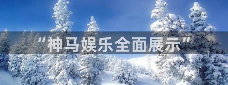 神马影院我不卡九七：“神马娱乐全面展示”