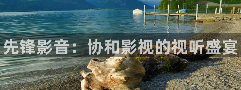 97九七电影院：先锋影音：协和影视的视听盛宴