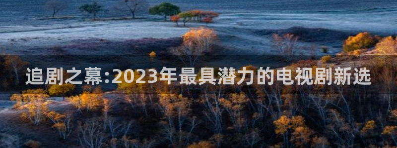 九七电影大全：追剧之幕:2023年最具潜力的电视剧新选