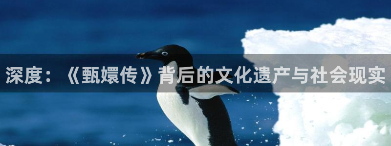 九七电影院网手机版在线观看：深度：《甄嬛传》背后的文化遗产与社会现实