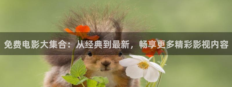 九七影视：免费电影大集合：从经典到最新，畅享更多精彩影视内容