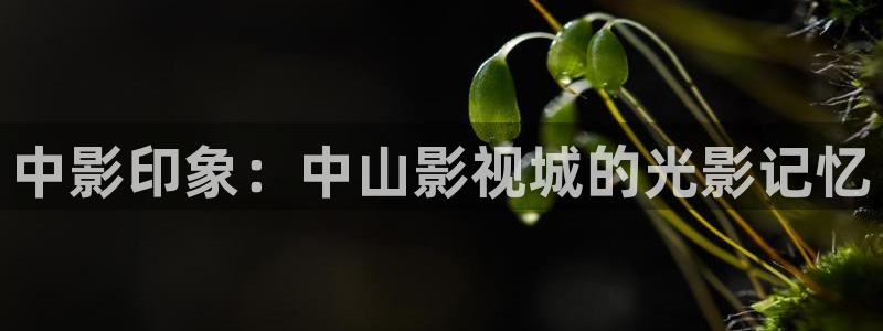 九七理论电影在线观看：中影印象：中山影视城的光影记忆